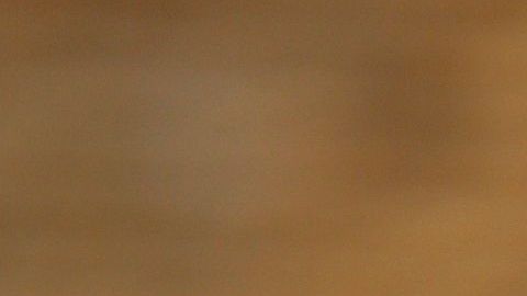 shutterstock_1007300182