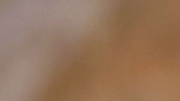 shutterstock_1020928798