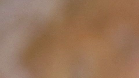 shutterstock_1020928798