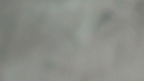 shutterstock_1039860631