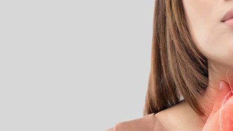 El hipotoroidismo es una de las enfermedades endocrinas más comunes.