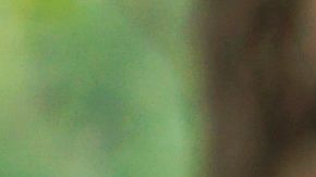 shutterstock_1091262803