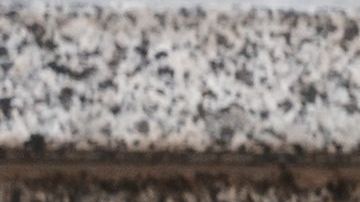 shutterstock_1119976652