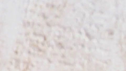 shutterstock_1140971951