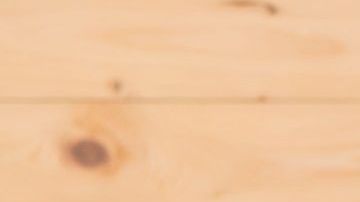 shutterstock_1145290154