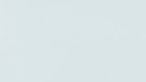 shutterstock_1153356757