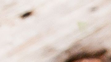 shutterstock_1169897428