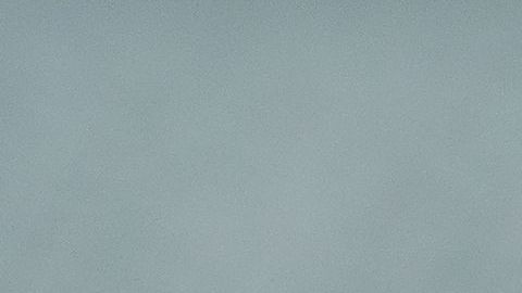 shutterstock_1188271540