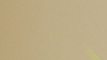 shutterstock_1191528628