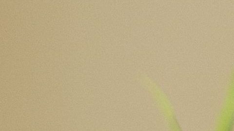 shutterstock_1191528628