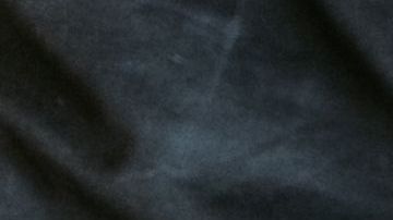 shutterstock_1224351511