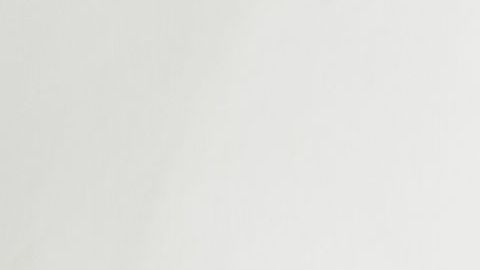 shutterstock_123271231