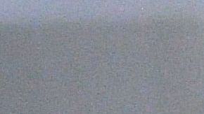 shutterstock_1235119942