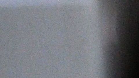 shutterstock_1235119942