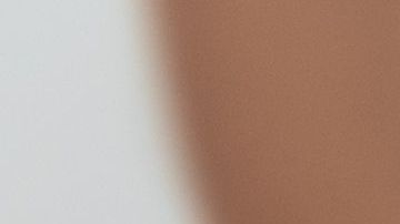 shutterstock_1283696539