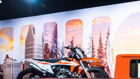 shutterstock_1288157572