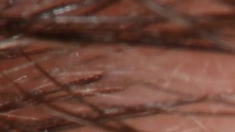 shutterstock_134770064