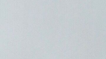 shutterstock_1410081254