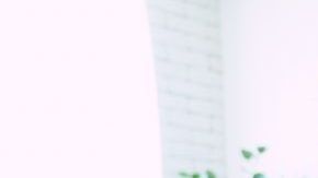 La dieta mediterránea esta catalogada como la mejor opción de alimentación para este 2020.