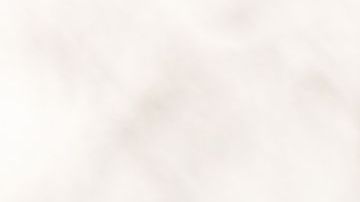 shutterstock_1427447147