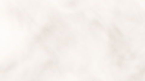 shutterstock_1427447147