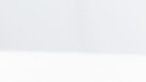 shutterstock_1458547709