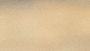 shutterstock_1465501868