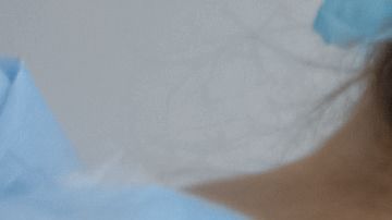 shutterstock_1537325657