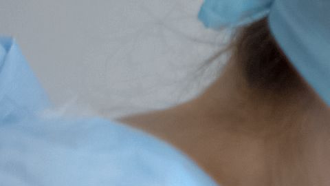 shutterstock_1537325657