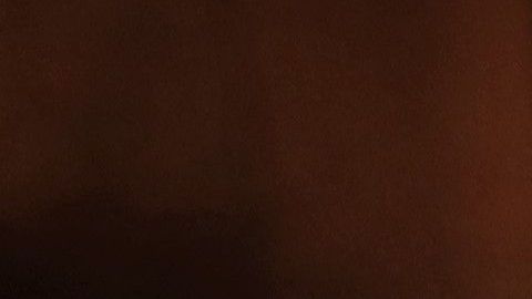 Elsa se convierte en el primer Meme del 2020.