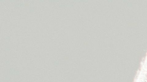 shutterstock_176226077