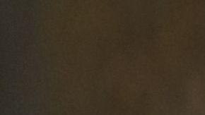 Todo sobre los mejores hábitos saludables para comer en restaurantes.