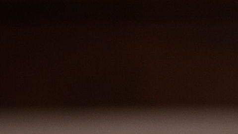 shutterstock_232801627