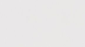 shutterstock_255240553