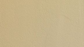 shutterstock_270811022