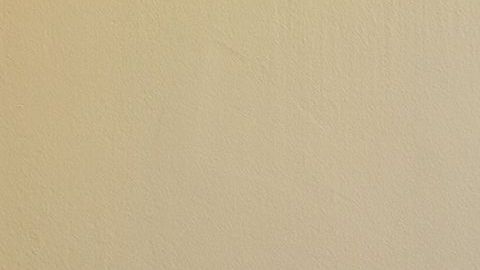 shutterstock_270811022