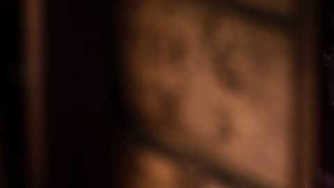 shutterstock_296558672