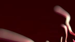 Éste podría ser el principio del fin de la enfermedad.