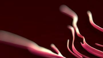 Éste podría ser el principio del fin de la enfermedad.