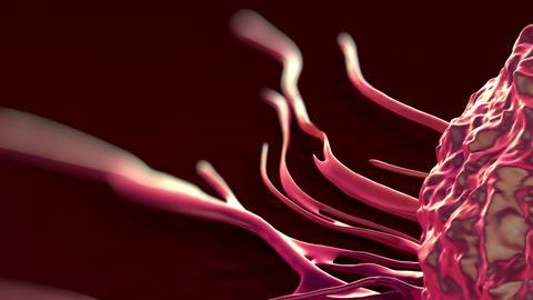 Éste podría ser el principio del fin de la enfermedad.