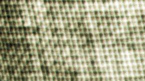 Le dijeron que así resolvería sus problemas de dinero.