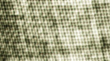 Le dijeron que así resolvería sus problemas de dinero.