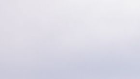 shutterstock_451257400