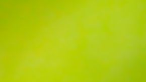 shutterstock_509945320