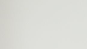 Nunca se percataron que estaban siendo observados.