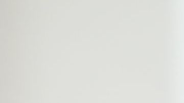 Nunca se percataron que estaban siendo observados.