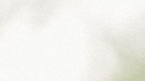 shutterstock_547631278