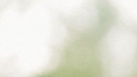 shutterstock_547631278