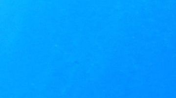 El mar es de los más afectados.