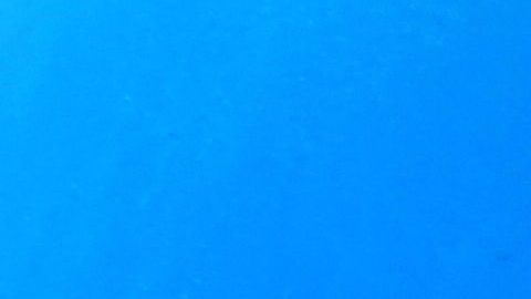 El mar es de los más afectados.